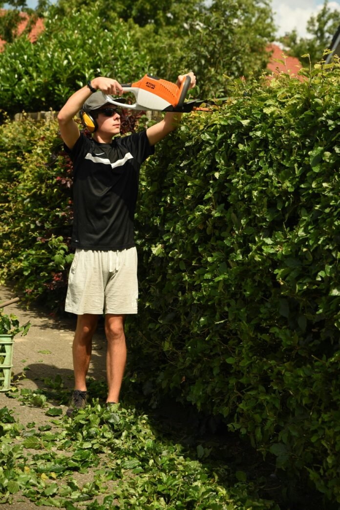 stihl hedge trimmer